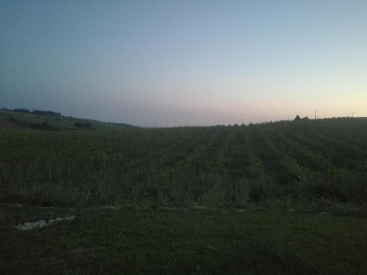 Villa Casa Chardonnay Menfi Esterno foto